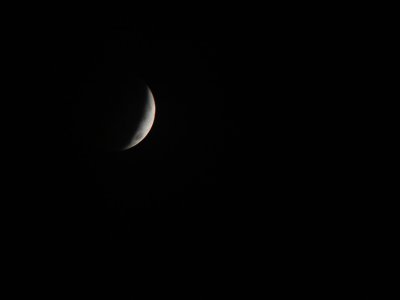 12212010-031