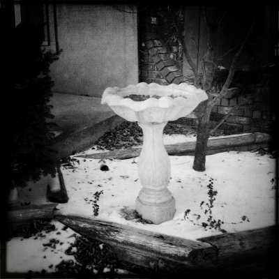 January 21 2011