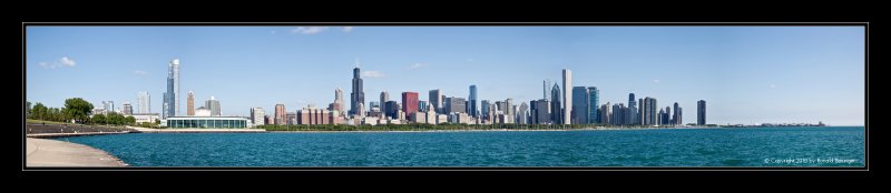 The Entire Chicago Skyline