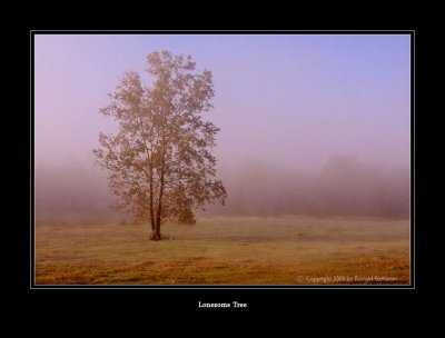 g1/09/454409/3/106125943.pZix0kTC.jpg