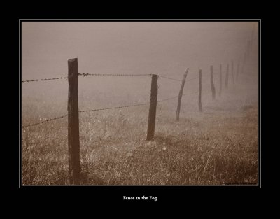 g1/09/454409/3/106125945.BfVK7wHM.jpg