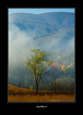 Cades Cove