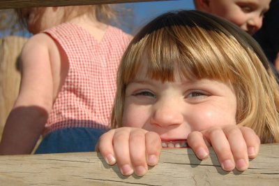 2006