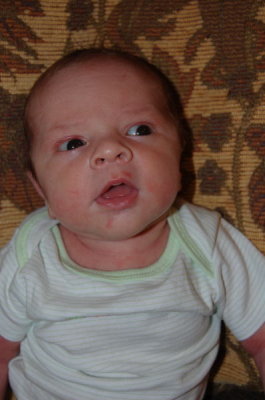 20090324_100446_nl_d40_rz.jpg