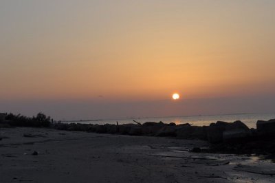 20100710_201339_nbs_d5000)