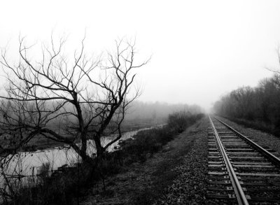 Fog Scenery, Feb 14th