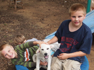 Adrian/Dylan (Nephews) Enjoying our New Dog