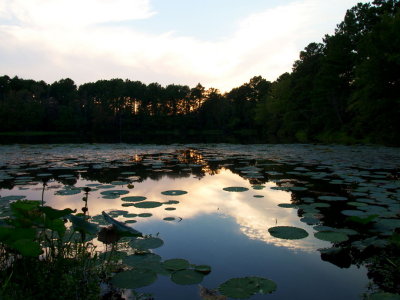 Landscape Scenery at Nearby Overton Pond
