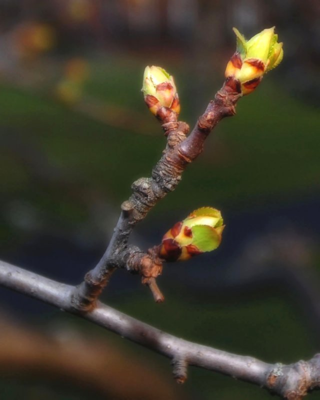 4-13-09.jpg