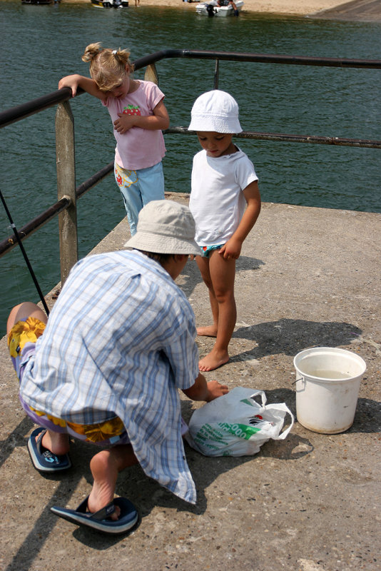 Dcouverte du Bassin dArcachon