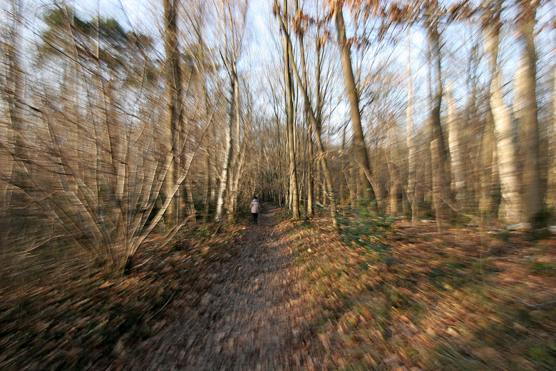 Promenade hivernale sur les buttes de Rosne