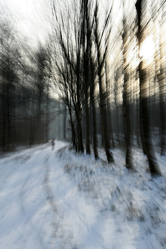 Randonne dans la campagne enneige de Magny-en-Vexin