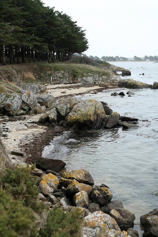 Promenade autour de la presqu'le de Villeneuve (Pointe de Montsarrac)