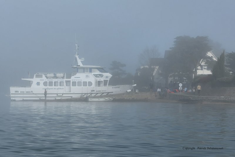 Sur le golfe du Morbihan en semi-rigide - MK3_9365 DxO Pbase 2.jpg