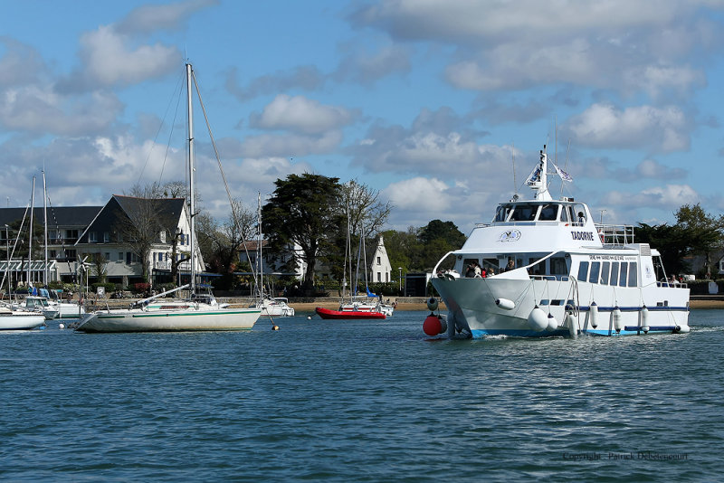 Sur le golfe du Morbihan en semi-rigide - MK3_9644 DxO Pbase.jpg