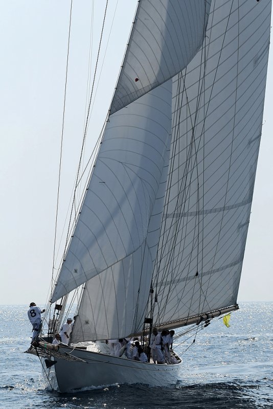 5813 Regates Royales de Cannes Trophee Panerai 2009 - MK3_8570 DxO Pbase.jpg