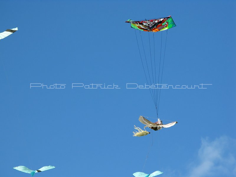 91 Festival international de cerf volant de Dieppe - IMG_5604_DxO WEB.jpg