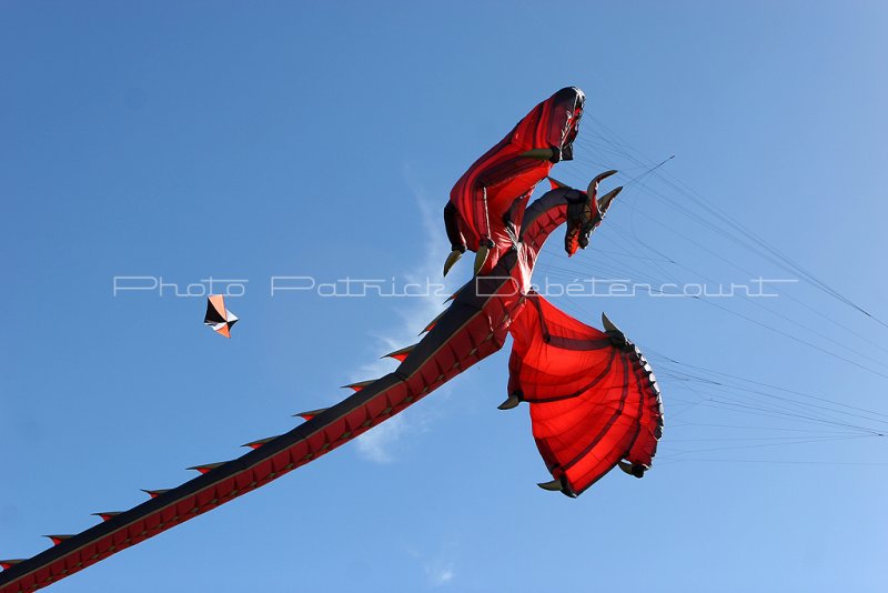 167 Festival international de cerf volant de Dieppe - IMG_7196_DxO WEB.jpg