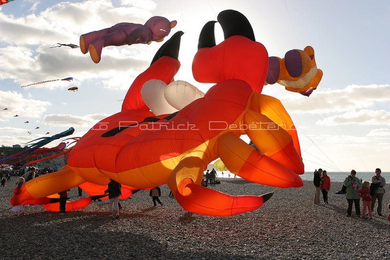 406 Festival international de cerf volant de Dieppe - IMG_7296_DxO WEB.jpg