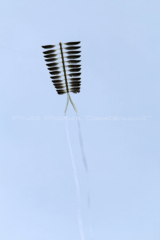 744 Festival international de cerf volant de Dieppe - MK3_0133_DxO WEB.jpg