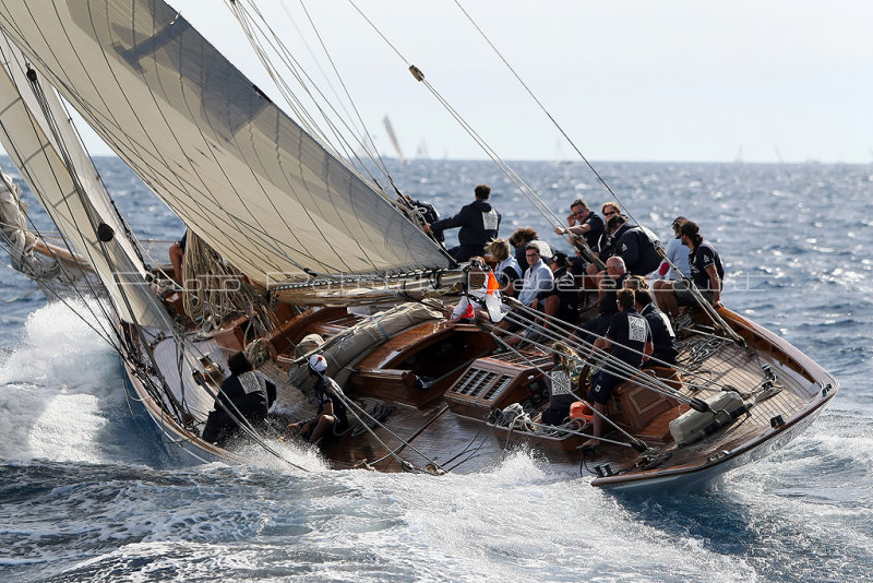 Voiles de Saint-Tropez 2010 - Yachts regattas in Saint-Tropez