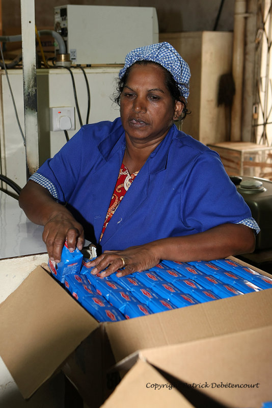 2 weeks on Mauritius island in march 2010 - 1899MK3_1100_DxO WEB.jpg
