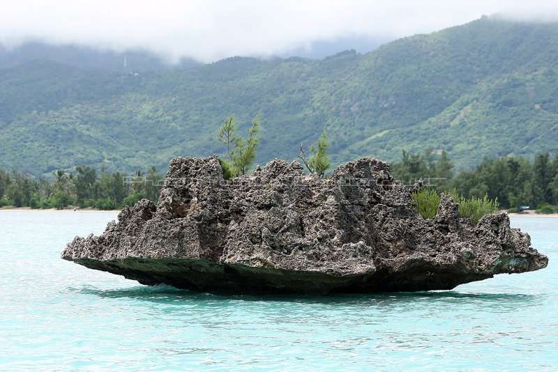 2 weeks on Mauritius island in march 2010 - 2503MK3_1511_DxO WEB.jpg