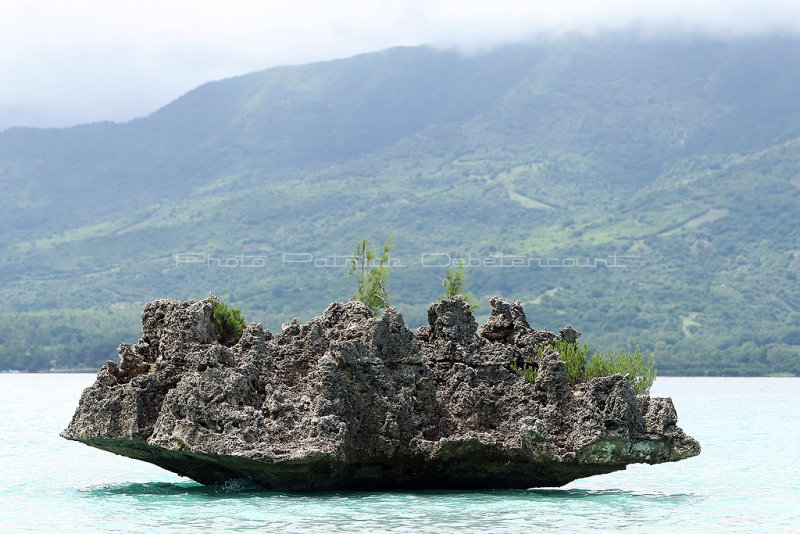 2 weeks on Mauritius island in march 2010 - 2506MK3_1514_DxO WEB.jpg