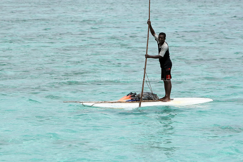 2 weeks on Mauritius island in march 2010 - 2518MK3_1525_DxO WEB.jpg