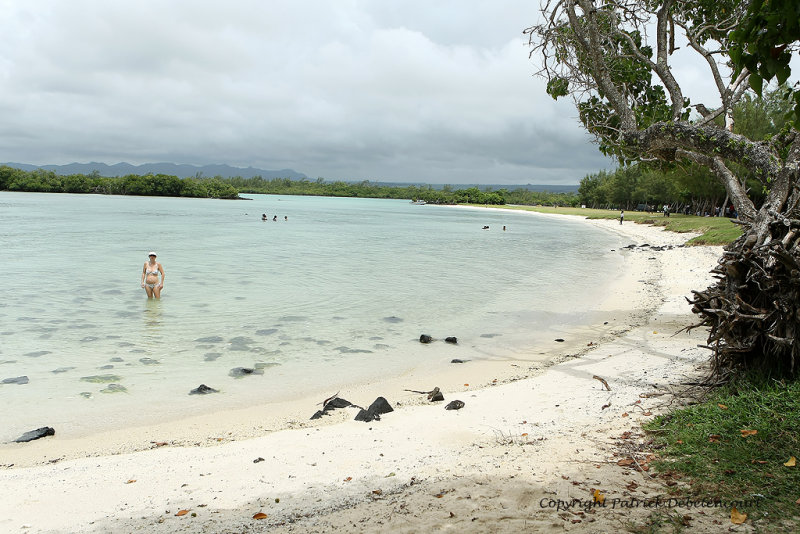 2 weeks on Mauritius island in march 2010 - 2034MK3_1246_DxO WEB.jpg