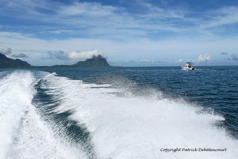 2 weeks on Mauritius island in march 2010 - 2262MK3_1488_DxO WEB.jpg