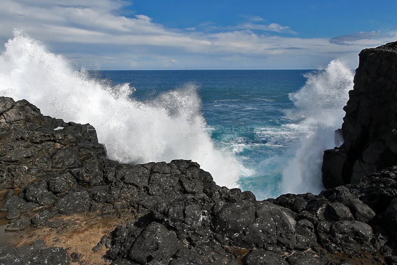 2 weeks on Mauritius island in march 2010 - 2927MK3_1940_DxO WEB.jpg