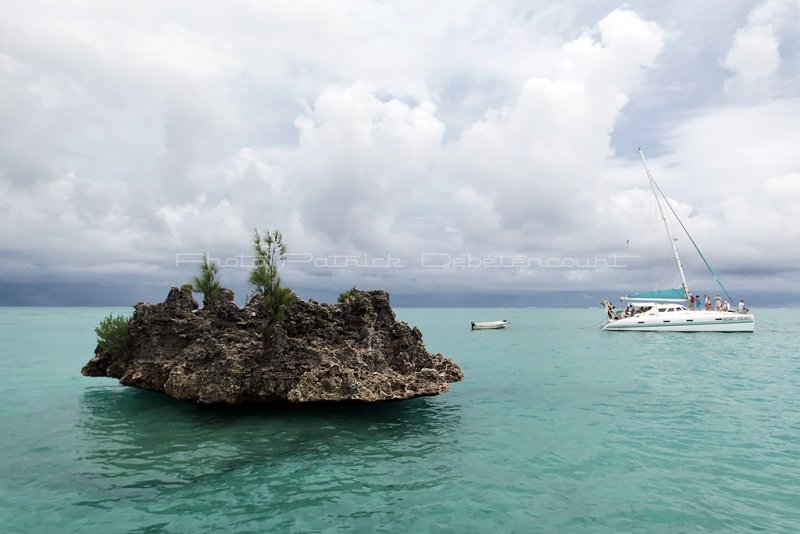 2 weeks on Mauritius island in march 2010 - 2696MK3_1707_DxO WEB.jpg