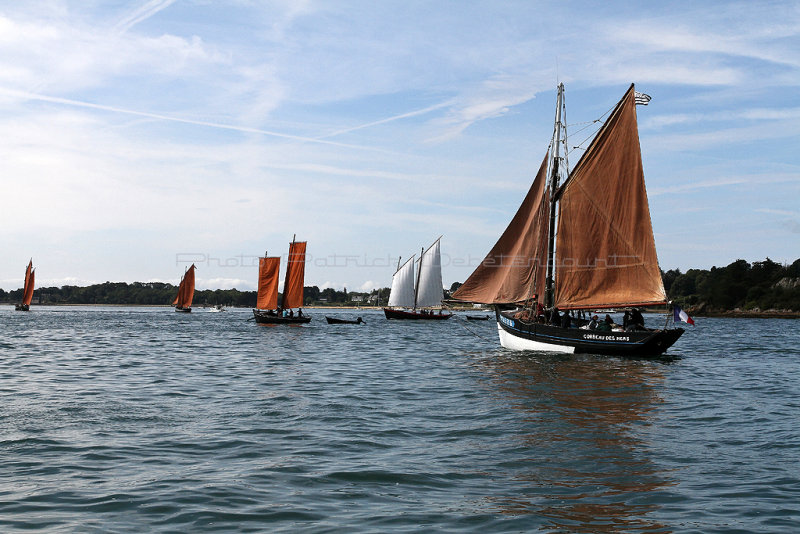 102 Tour de l'Ile d'Arz en aout 2012 - IMD1F4~1.JPG