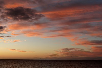 g1/09/515909/3/103748251.xzsDaM1t.jpg