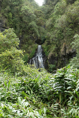 Cirque de Salazie - Sur le chemin des trois cascades au-dessus de Hell Bourg