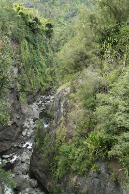 Dcouverte du cirque de Salazie