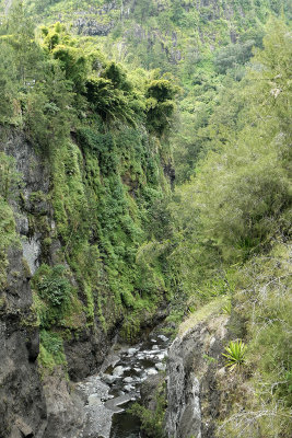 Dcouverte du cirque de Salazie