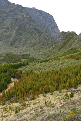 Cirque de Salazie - En montant vers le col des Boeufs, point de vue sur le cirque de Mafate