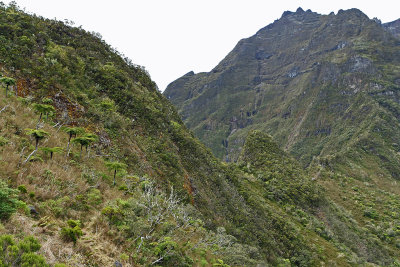 Cirque de Salazie - Vue sur le cirque de Mafate