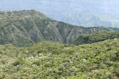 Cirque de Salazie - Vue sur le cirque de Mafate