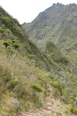 Cirque de Salazie - Vue sur le cirque de Mafate