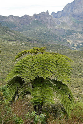 Dcouverte du cirque de Salazie