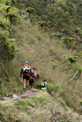 Trois jeune en train de courir pour descendre dans le cirque de Mafate