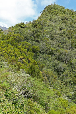 Dcouverte du cirque de Salazie