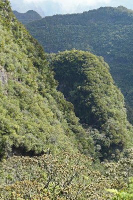 Dcouverte du cirque de Salazie