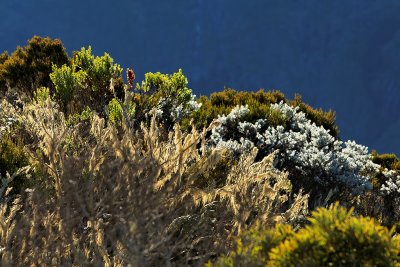 Le cirque de Mafate depuis le point de vue du Mado