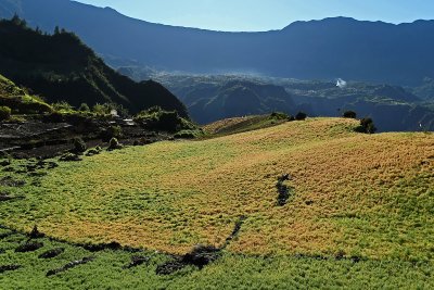 Dans le cirque de Cilaos