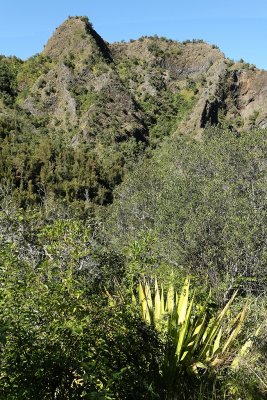 Dans le cirque de Cilaos