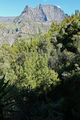 Dans le cirque de Cilaos